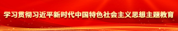 小嫩直喷浆女10p学习贯彻习近平新时代中国特色社会主义思想主题教育